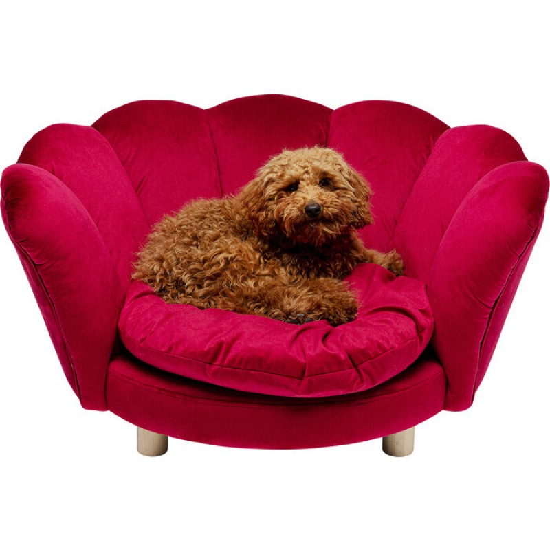 Dog/Cat Bed Water Lily Red